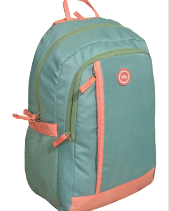 PB Pearlbags Polyester Water Resistant 17 L Casual Backpack With Laptop Sleeve For School,college & Office For Boys and Girls,Men & Women