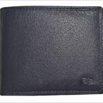 1 wallet